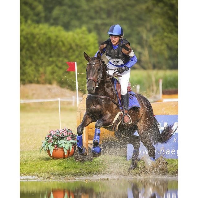 Beenbeschermers QHP Eventing Achter Blauw