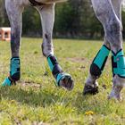 Beenbeschermers QHP Eventing Achter Lichtgroen