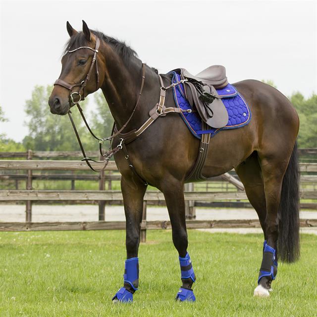 Beenbeschermers QHP Eventing Voor Blauw