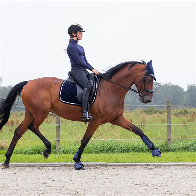 Beenbeschermers QHP Orlando Donkerblauw