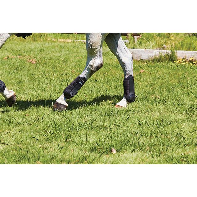 Beenbeschermers WeatherBeeta Flexi Hind Zwart
