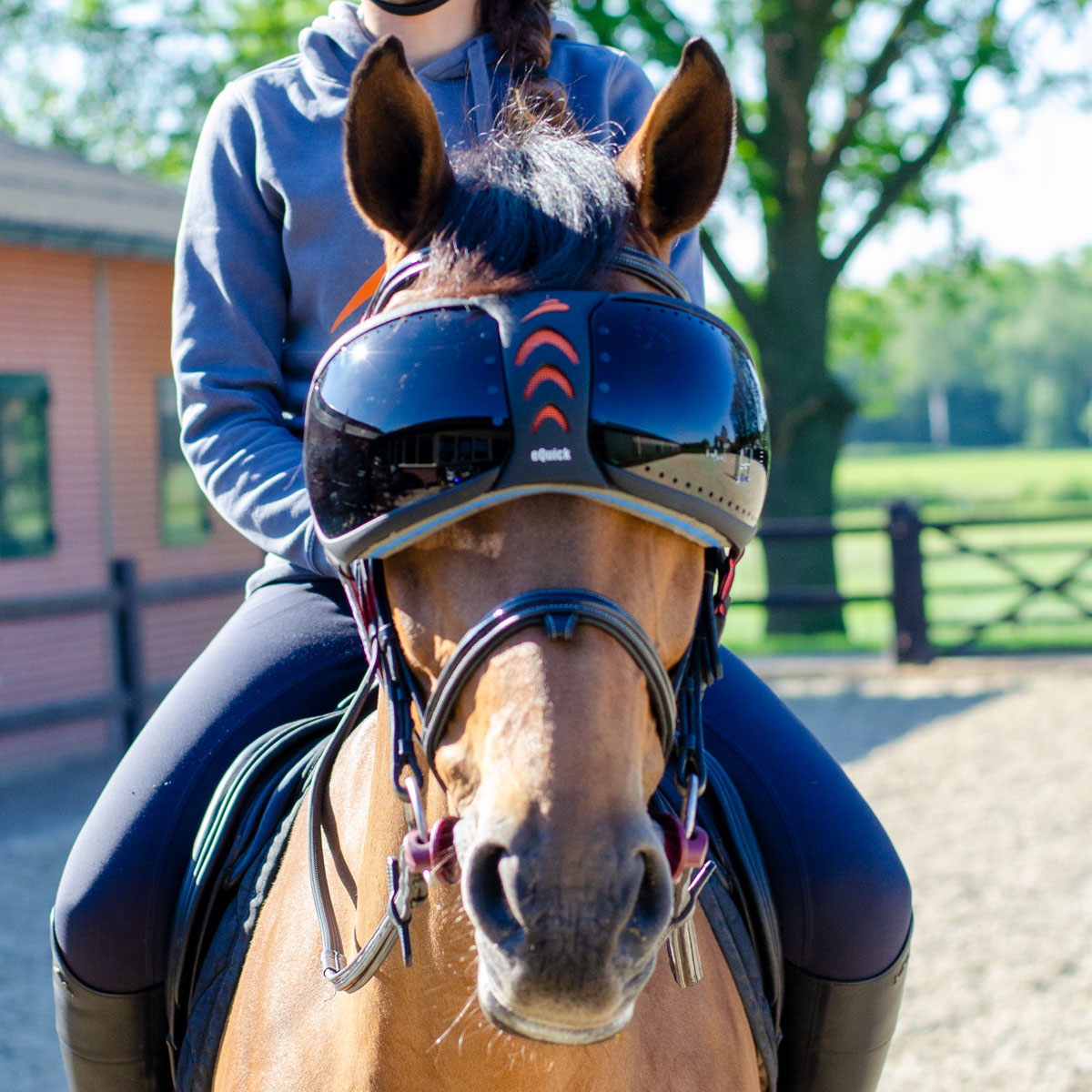 Beschermingsbril Paarden Equick Evysor Darker Zwart in zwart