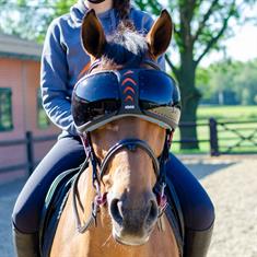 Beschermingsbril Paarden eQuick Evysor Darker Zwart