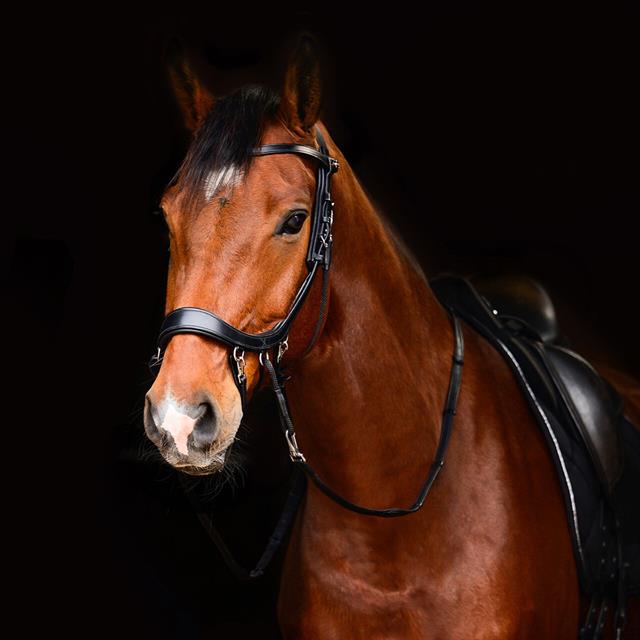Bitloos Hoofdstel PresTeq FaySport Bruin