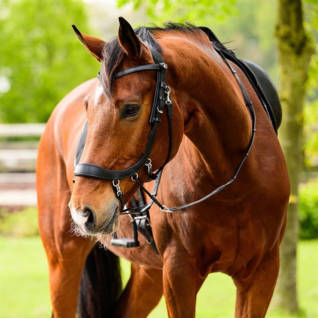Bitloos Hoofdstel PresTeq FaySport Zwart
