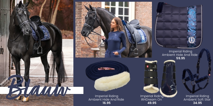 Lookbook blauw paard