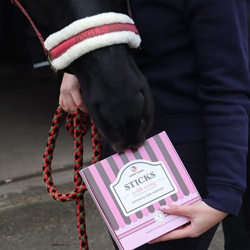 Kerst koekjes voor paarden