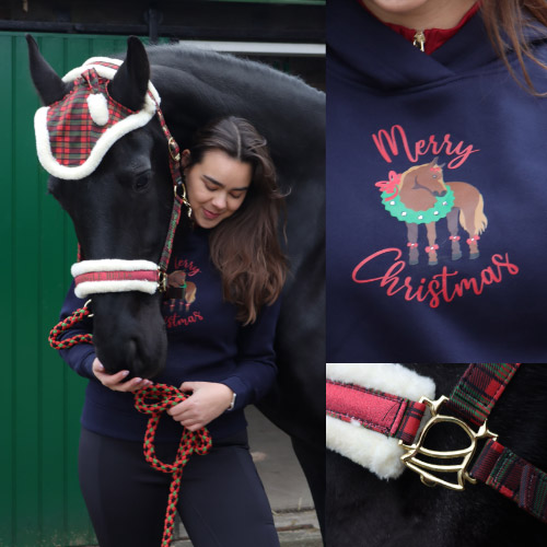 Meisje met zwart paard in een kerstoutift voor haar en haar paard