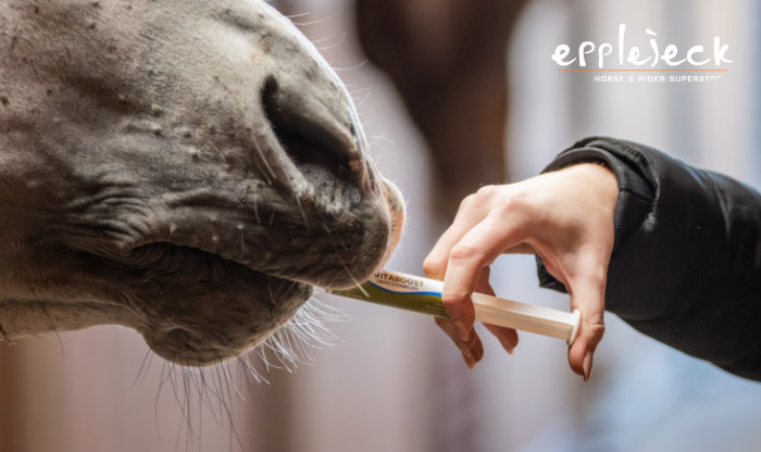 Paard dat vitaminespuit krijgt