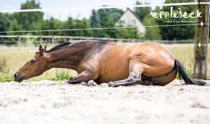 Rollend paard door koliek