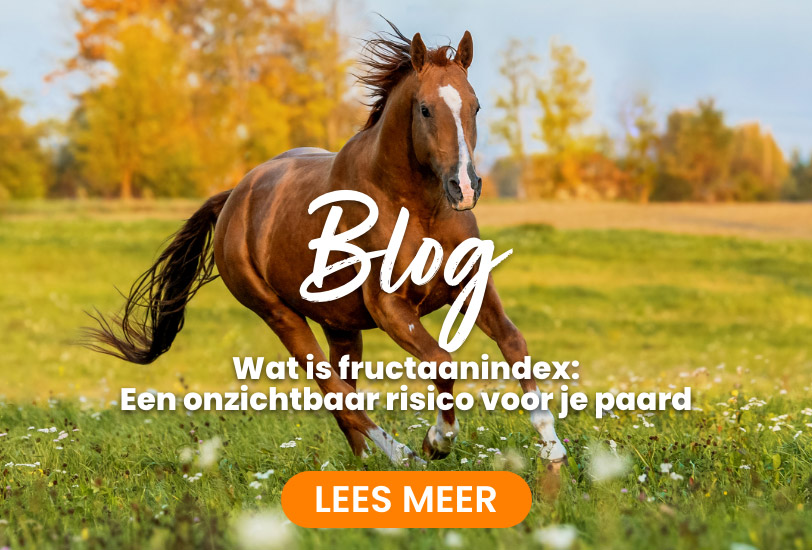Blog; Fructaan