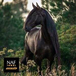 Blog nieuw van NAF: Metazone