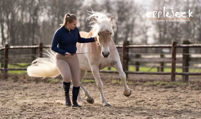 Grondwerk met paard