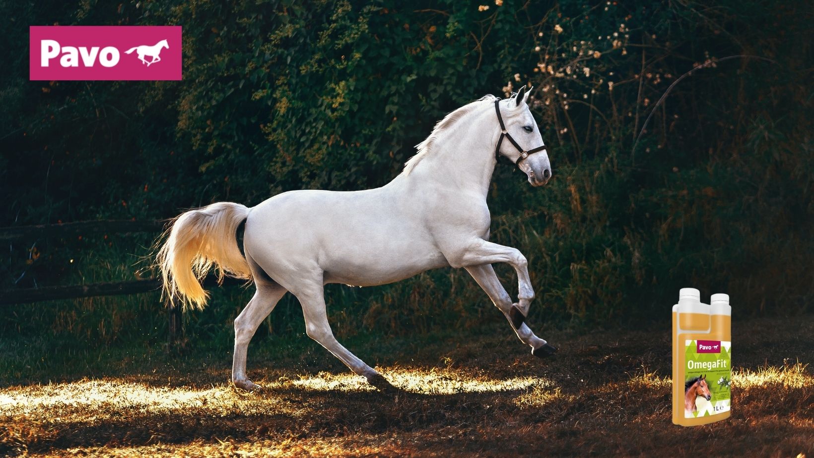 Paard pavo omegafit