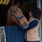 Bodywarmer HV POLO HVPValeria Middenbruin