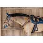 Borsttuig Dy'on 5 Points Met Elastiek D Collection Bruin