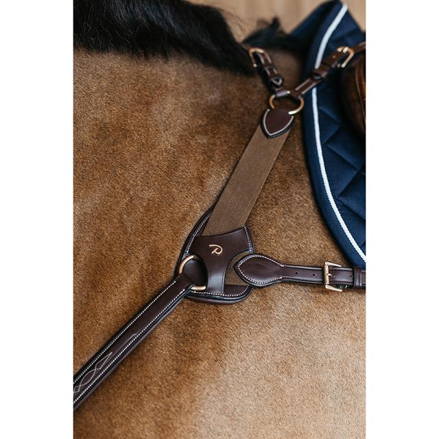 Borsttuig Dy'on 5 Points Met Elastiek D Collection Bruin