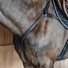Borsttuig Dy'on 5 Points Met Elastiek D Collection Zwart