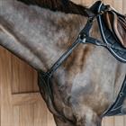 Borsttuig Dy'on 5 Points Met Elastiek D Collection Zwart