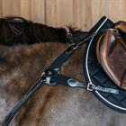 Borsttuig Dy'on 5 Points Met Elastiek D Collection Zwart