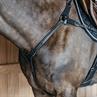 Borsttuig Dy'on 5 Points Met Elastiek D Collection Zwart