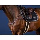 Borsttuig Dy'on Anatomisch Us Hunter Collectie Bruin