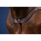 Borsttuig Dy'on Anatomisch Us Hunter Collectie Bruin