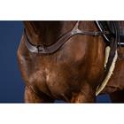 Borsttuig Dy'on Anatomisch Us Hunter Collectie Bruin