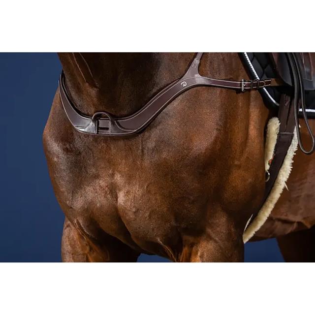 Borsttuig Dy'on Anatomisch Us Hunter Collectie Bruin