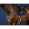 Borsttuig Dy'on Anatomisch Us Hunter Collectie Zwart