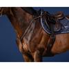 Borsttuig Dy'on Bridge Us Hunter Collectie Bruin
