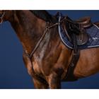 Borsttuig Dy'on Bridge Us Hunter Collectie Bruin