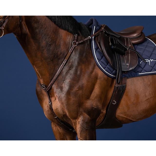 Borsttuig Dy'on Bridge Us Hunter Collectie Bruin