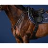 Borsttuig Dy'on Bridge Us Hunter Collectie Zwart