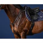 Borsttuig Dy'on Bridge Us Hunter Collectie Zwart