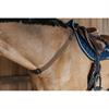Borsttuig Dy'on Elastisch D Collection Bruin