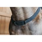 Borsttuig Dy'on Elastisch D Collection Zwart
