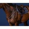 Borsttuig Dy'on Long Bridge Us Hunter Collectie Bruin