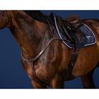Borsttuig Dy'on Long Bridge Us Hunter Collectie Bruin