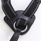 Borsttuig HORSEGEAR HGVertou Zwart