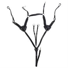 Borsttuig HORSEGEAR HGVertou Zwart