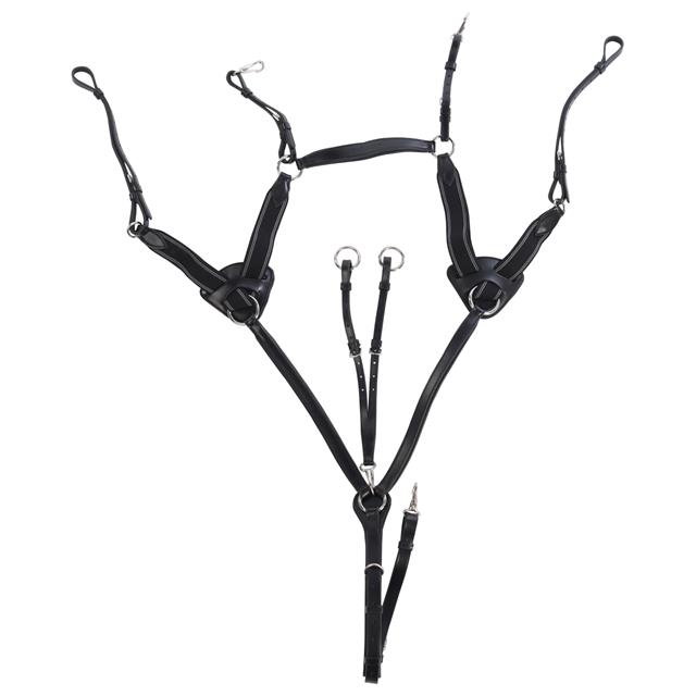Borsttuig HORSEGEAR HGVertou Zwart