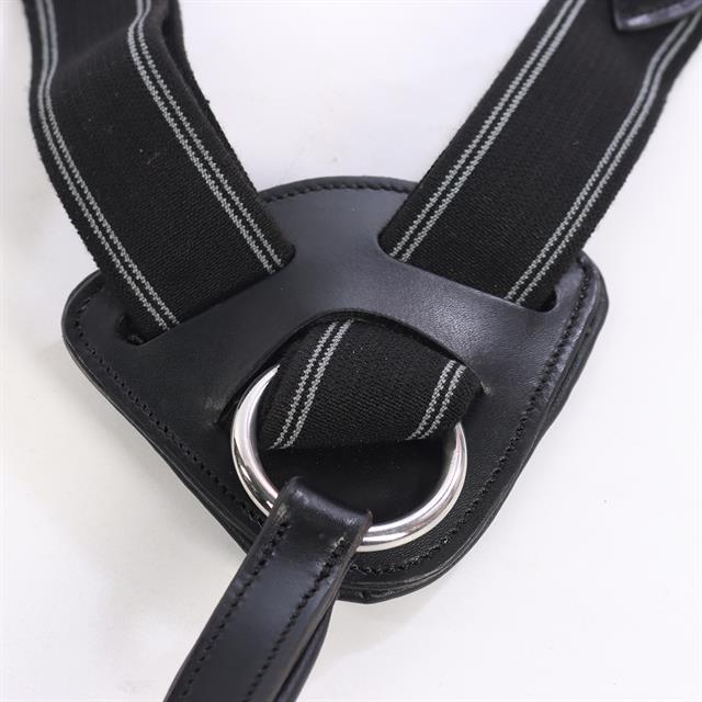 Borsttuig HORSEGEAR HGVertou Zwart