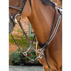 Borsttuig LeMieux Arika Elasticated Bruin-zilver