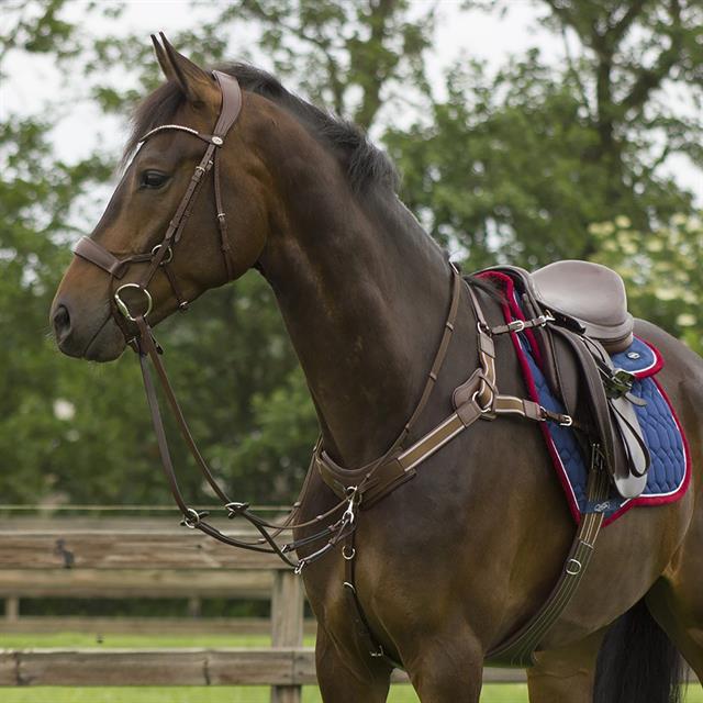 Borsttuig Met Martingaal QHP Sedna Bruin