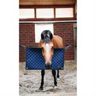 Boxrooster Kentucky Donkerblauw
