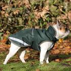 Bucas Freedom Dog Rug 50gr Donkergroen