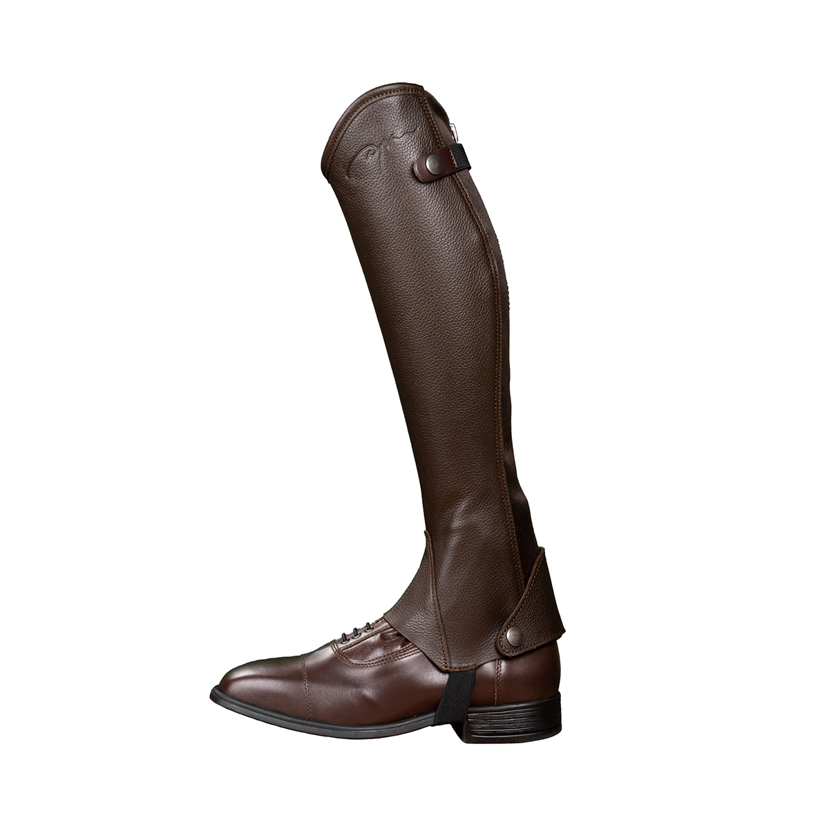 Chaps Dy&apos;on Classic Standard Bruin, M in bruin