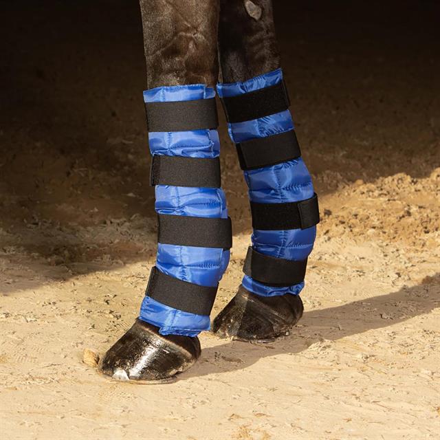 Cold Wraps Harry's Horse Blauw