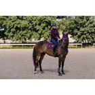 Coltrui Equestrian Stockholm Purple Gold Paars
